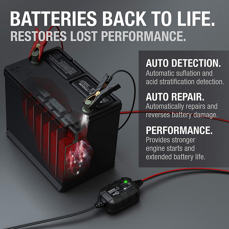 Restore your battery - Detects sulfation and acid stratification and restores lost performance for stronger engine starts and extended battery life.