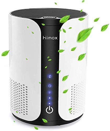 HIMOX Air Purifier for Home Allergies and Pets, True HEPA and Active Carbon Filter